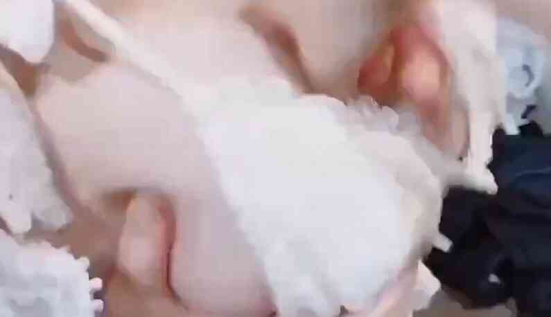 [日本] 用手指玩你的奶~啊~妳怎麼可以用奶夾我~